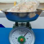 Nõn Tôm tươi Cô Tô