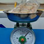 Nõn Tôm tươi Cô Tô